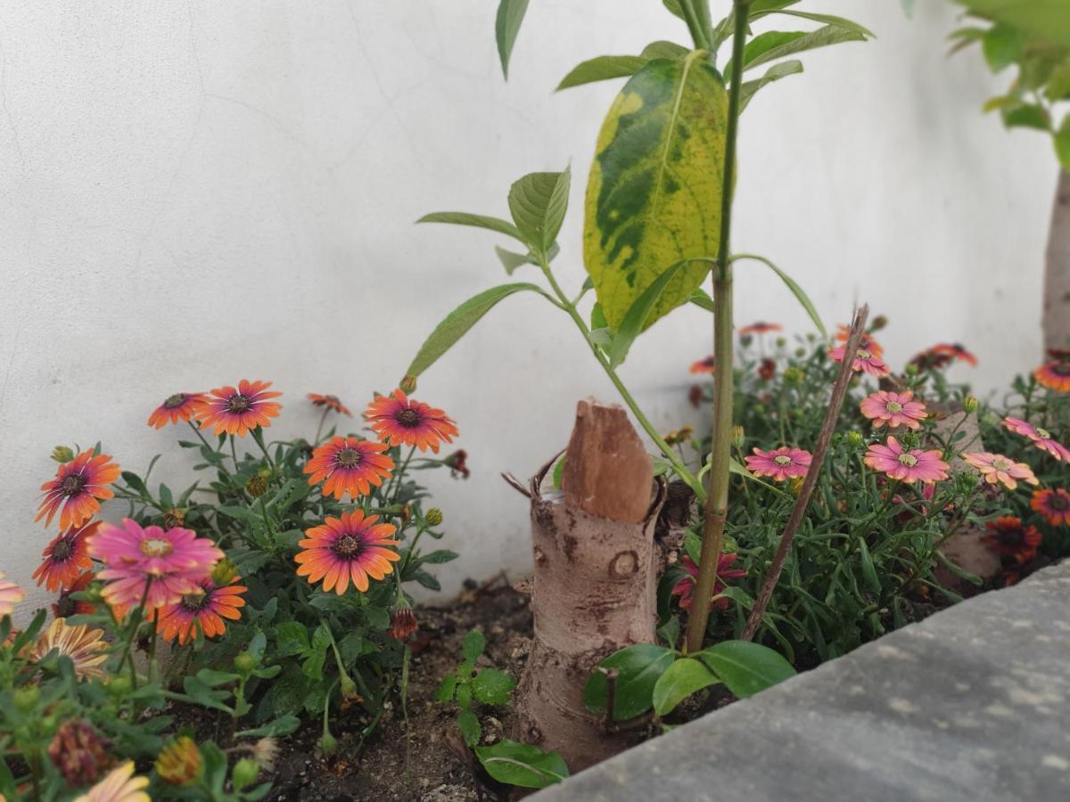 Miro B&B Lecce Eksteriør bilde